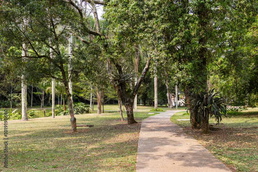 Botanical Garden in Sao Paulo, featuring lush greenery and tranquil pathways. Botanical Garden in Sao Paulo, featuring lush greenery and tranquil pathways.