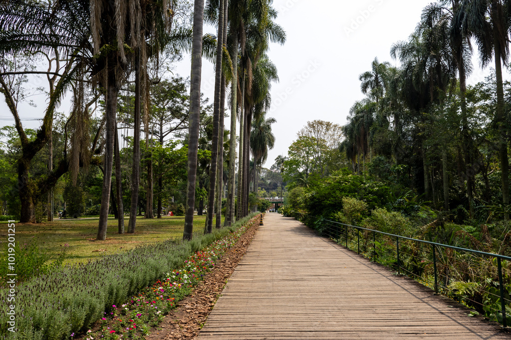 Botanical Garden in Sao Paulo, featuring lush greenery and tranquil pathways. Botanical Garden in Sao Paulo, featuring lush greenery and tranquil pathways.