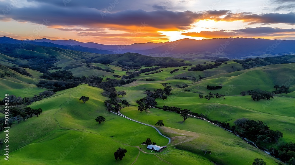 Fototapeta premium Aerial View of Rolling Green Hills and a Farm at Sunset