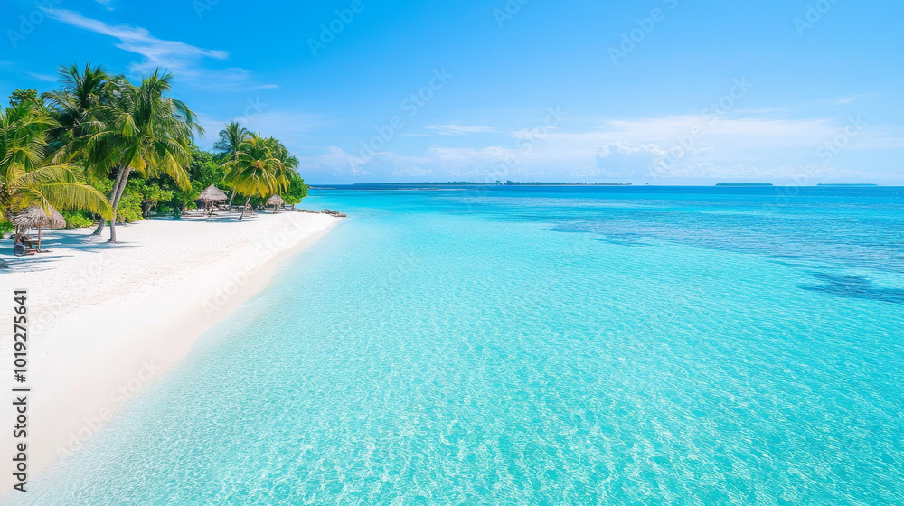 A pristine beach with crystal clear water and palm trees A pristine beach with crystal clear water and palm trees