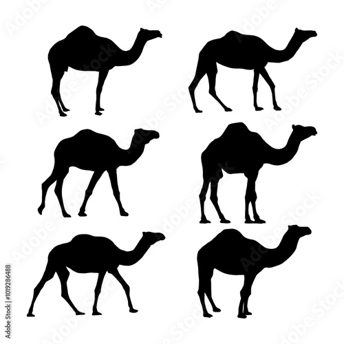 silhouette animal camel collection