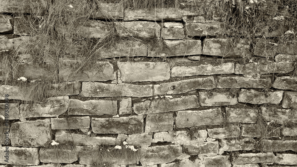 An old retaining wall made of rubble stone, with grass and other plants growing through the cracks, photographed in western Ukraine. An old retaining wall made of rubble stone, with grass and other plants growing through the cracks, photographed in western Ukraine.