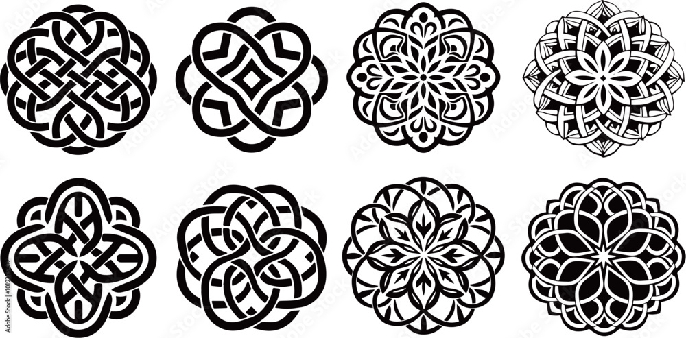 set of eggs vector set of eggs vector