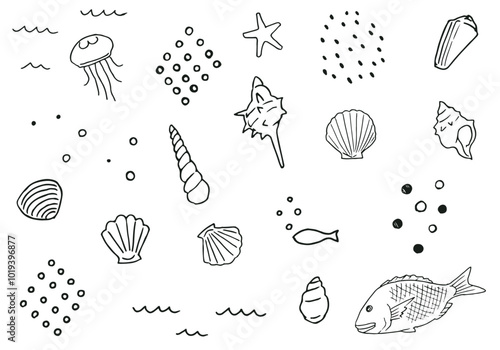 Hand drawn pen drawing illustration set of shells and the sea.(black and white)