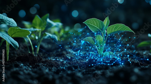 Fototapeta Naklejka Na Ścianę i Meble -  Green plant with blue cyber display of technology smart farming and agrculture innovation concept