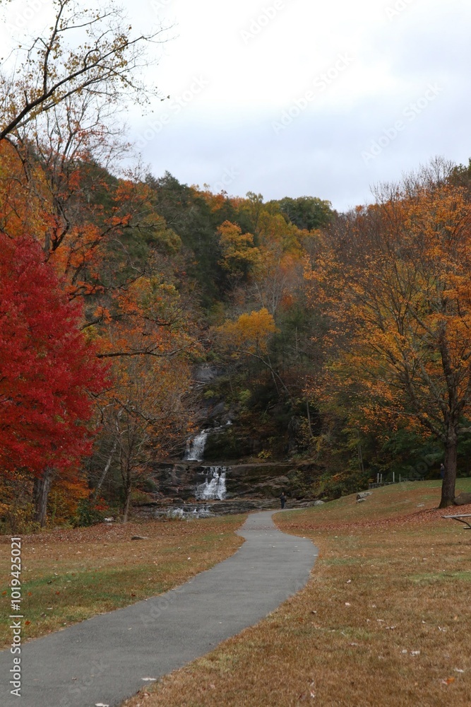 Obraz premium The Four Seasons