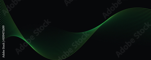 Vector abstract light lines wavy flowing dynamic in green colors isolated on black background.	