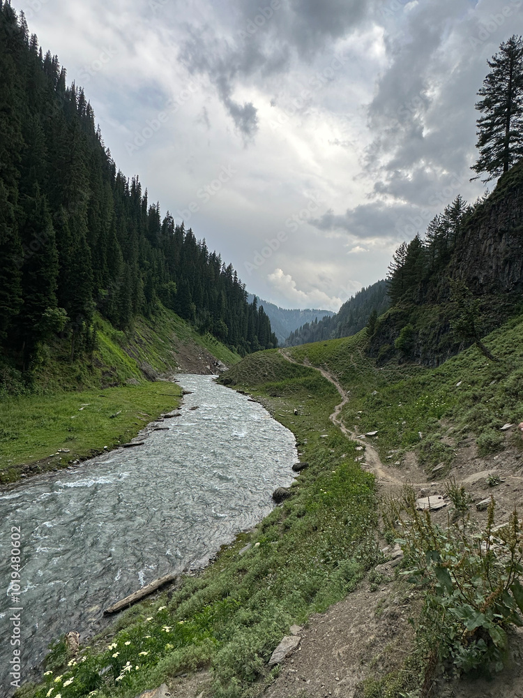 Fototapeta premium river in the mountains