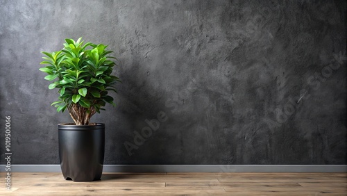 A solitary potted plant with vibrant green leaves stands in front of a textured grey wall, adding a touch of life and tranquility to the minimalist interior.