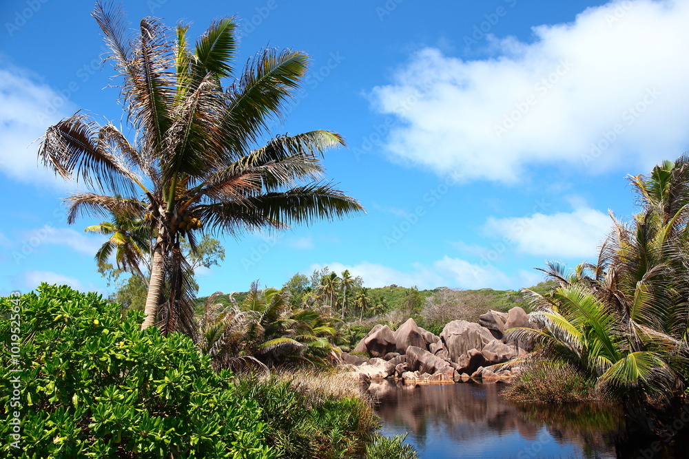 The scenery of Seychelles islands in the Indian Ocean The scenery of Seychelles islands in the Indian Ocean