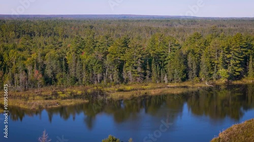 Endless forest on lake in Michigan