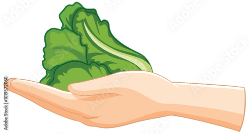 Hand Holding Fresh Green Lettuce