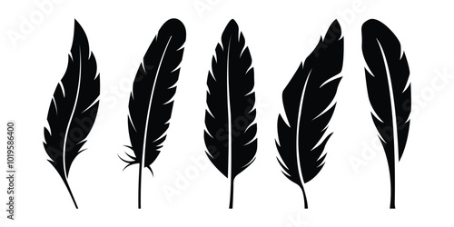 Bird Feather black silhouettes