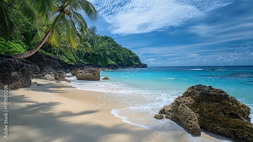 Lush tropical beach with white sand and palm trees.