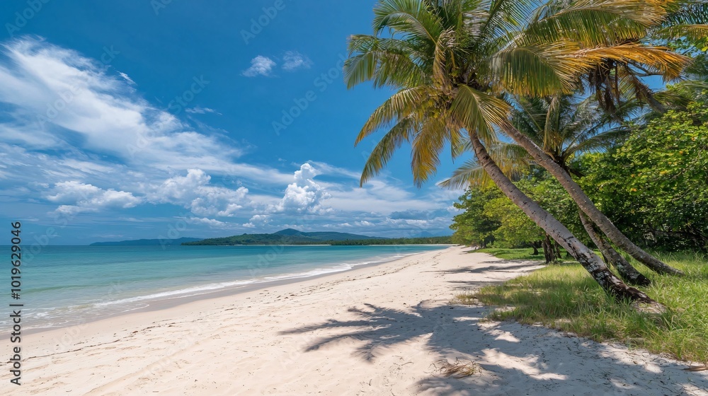 Palm trees cast long shadows on a white sand beach, with turquoise water and blue sky with clouds in the background. Palm trees cast long shadows on a white sand beach, with turquoise water and blue sky with clouds in the background.