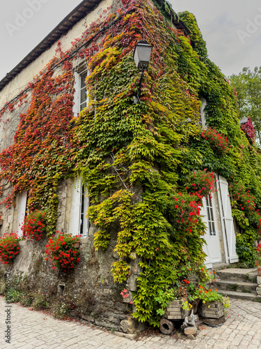 facade of a house full of flowers photo