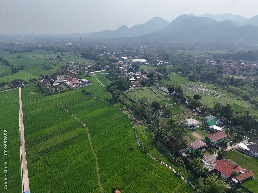 aerial view of a village in the countryside. rice fields around the village. aerial view of a village in the countryside. rice fields around the village.