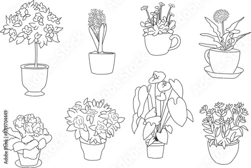 Set of plant flowers in pot hand drawn vector illustrations house plant, home decoration
