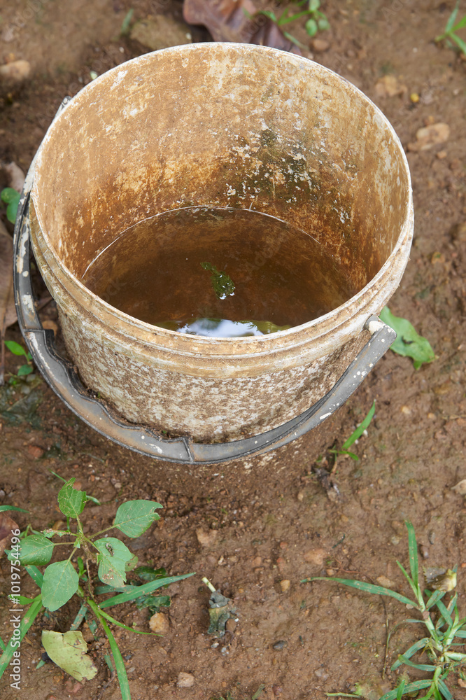 rain water collected in an old bucket on garden floor, stagnant water in an unattended bucket, can become breeding ground for mosquitoes, maintenance and care concept with copy space rain water collected in an old bucket on garden floor, stagnant water in an unattended bucket, can become breeding ground for mosquitoes, maintenance and care concept with copy space
