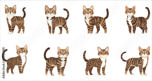 Cute cat cartoon character vector, Set of standing cute cat, Realistic cute cat vector illustration