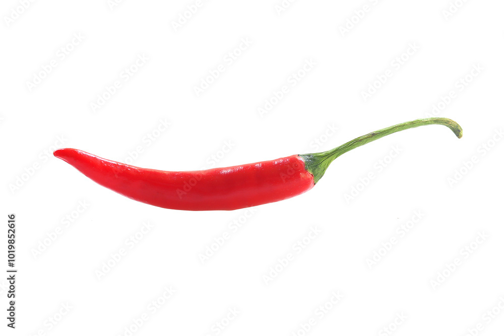 red chilli transparent background red chilli transparent background