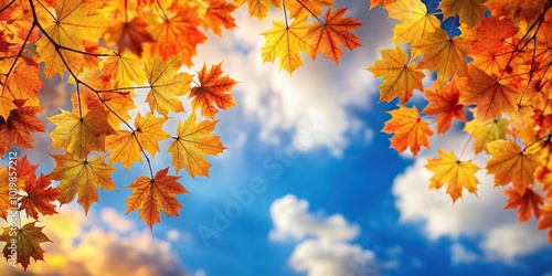 Autumn maple leaves in orange and yellow hues against sky background from high angle