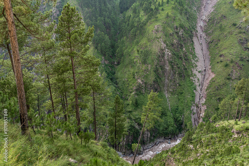 Landscape view of pine trees forest in Kunhar river gorge in scenic Kaghan valley, Balakot, Mansehra, Khyber Pakhtunkhwa, Pakistan photo