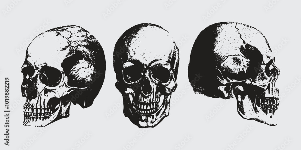 Fototapeta premium Human skull with halftone stipple effect, for grunge punk y2k collage design. Pop art style