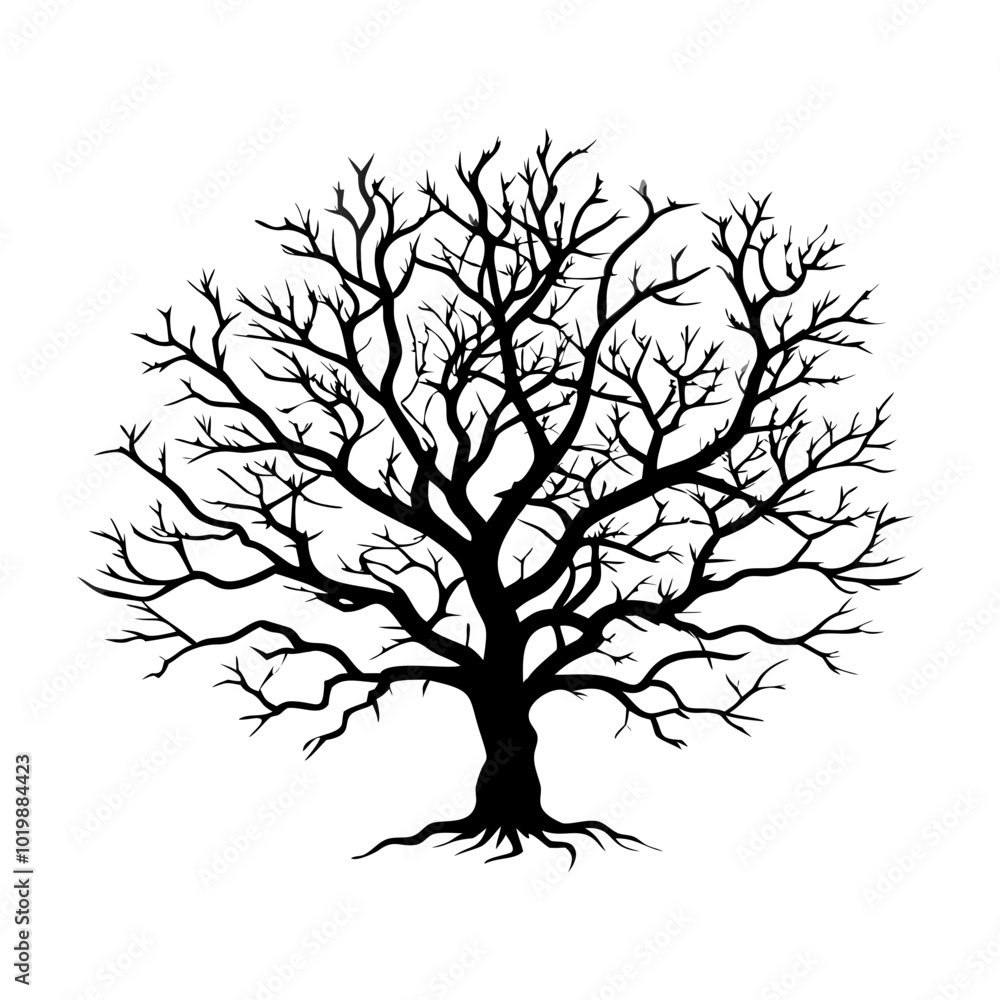 Obraz premium bitterwood--tree-silhouette