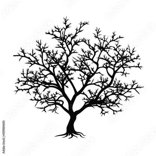 blackthorn--tree-silhouette