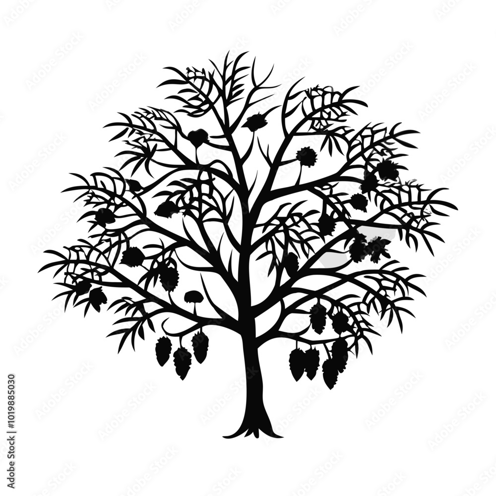 Obraz premium candlenut-tree-silhouette