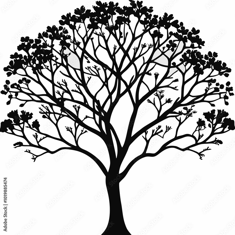 Obraz premium crape-myrtle-tree-silhouette