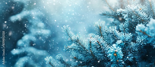 Enchanting winter wonderland: snowfall in a serene forest with blue spruce fir tree branches, perfect for christmas and new year celebrations - banner image photo