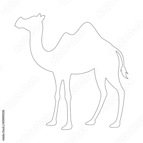  Camel smooth and thin line drawing illustration