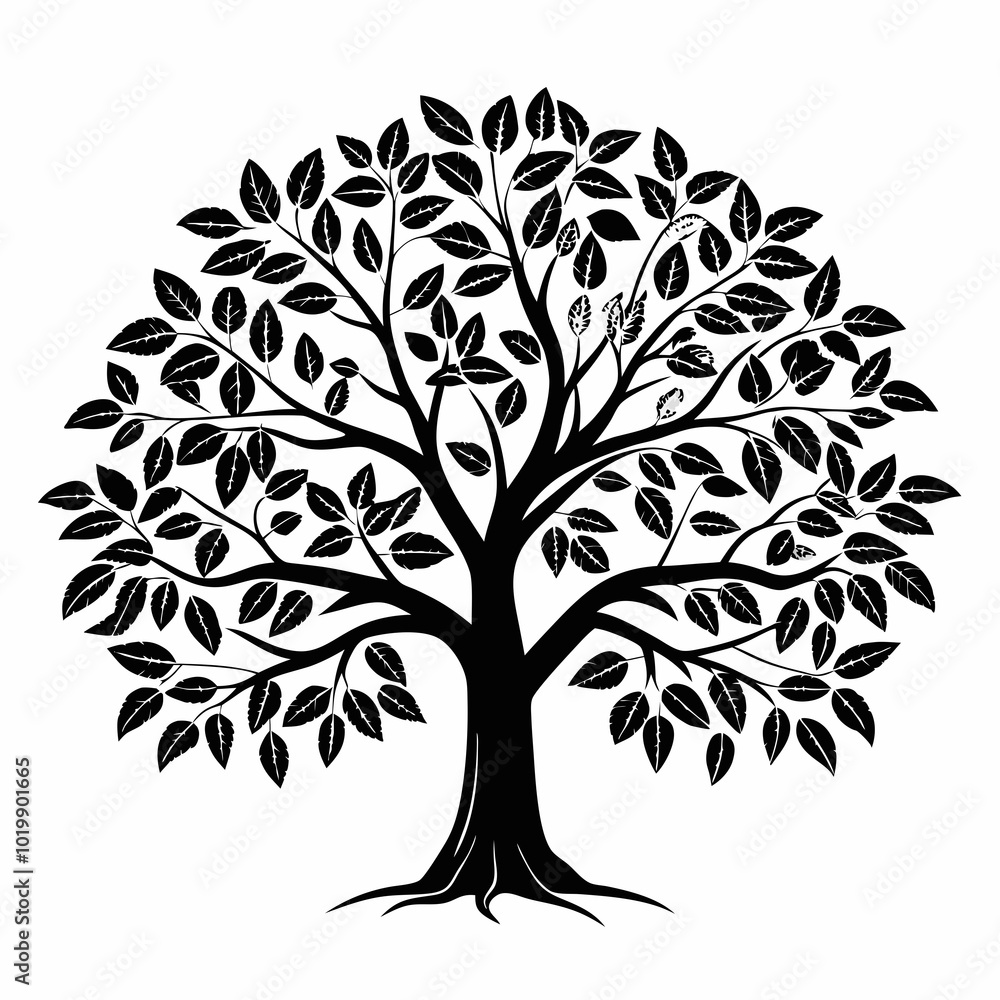 Obraz premium pecan-tree-silhouette