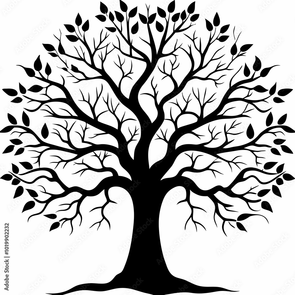 Obraz premium sycamore-tree-silhouette