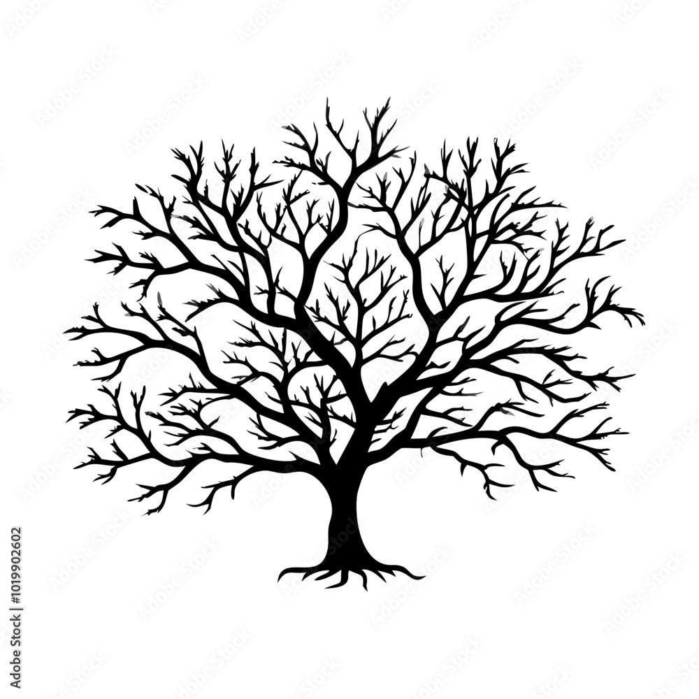 Obraz premium yew-tree-silhouette