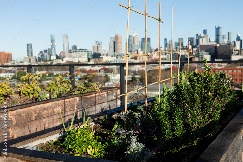 Urban garden with Melbourne City in the background. Urban garden with Melbourne City in the background.