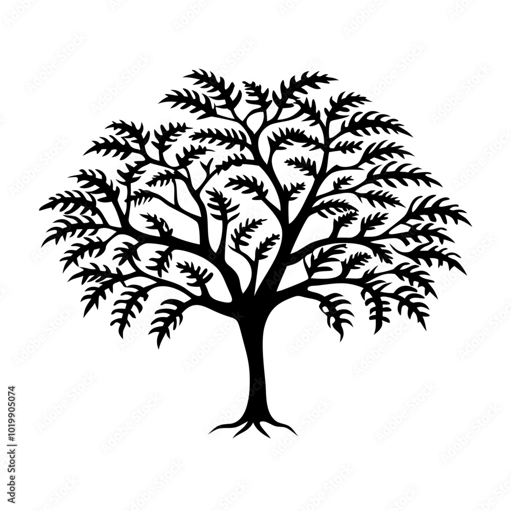 Obraz premium chicle-tree-silhouette
