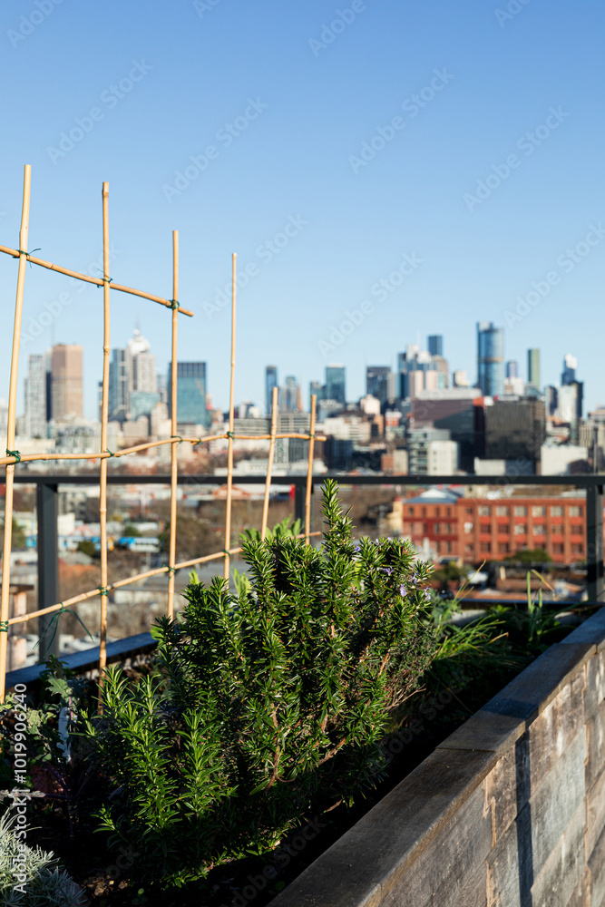 Rooftop garden with Melbourne Australia view in daylight. Rooftop garden with Melbourne Australia view in daylight.