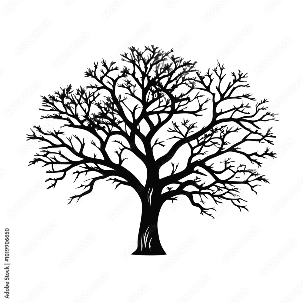 mahogany-tree-silhouette mahogany-tree-silhouette