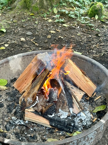 firewood in the fire pit while camping