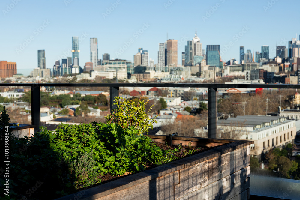 Rooftop garden with Melbourne Australia in background, clear sky. Rooftop garden with Melbourne Australia in background, clear sky.