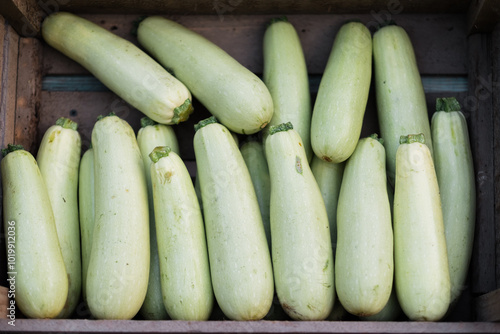 Fresh zucchini squashes in a wooden crate on display. photo