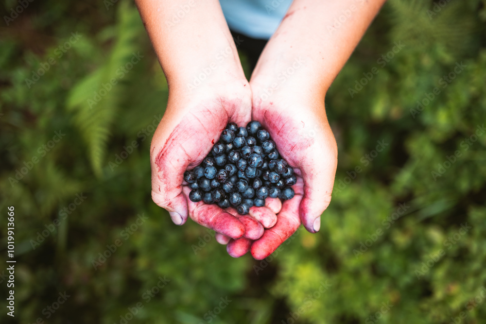 close up of blueberries in colorful hands close up of blueberries in colorful hands