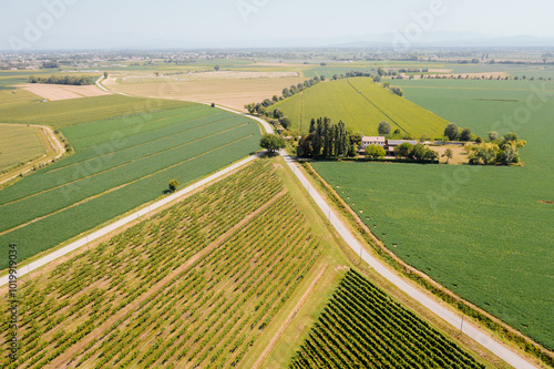 Drone shot of cultivated fields