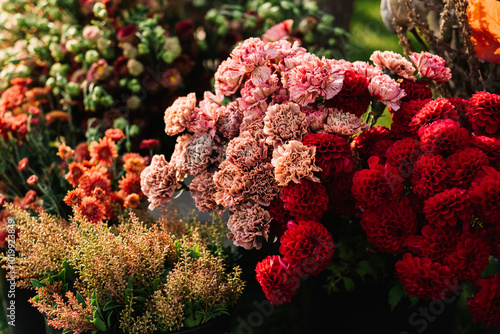 Vibrant red and pink flowers in a garden arrangement