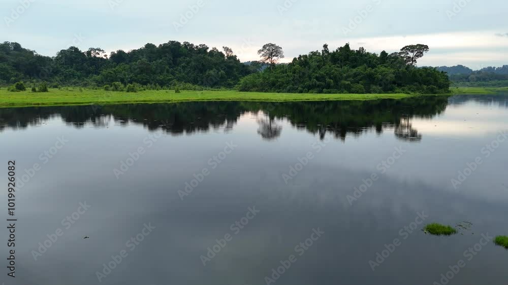 swamp in the tropical rain forest of Vietnam swamp in the tropical rain forest of Vietnam