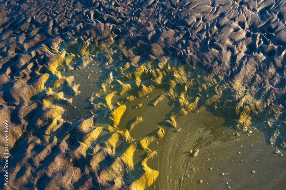 Tide pool at dusk, foam on water surface Tide pool at dusk, foam on water surface