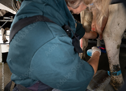 Rapid mastitis test in a diary cow